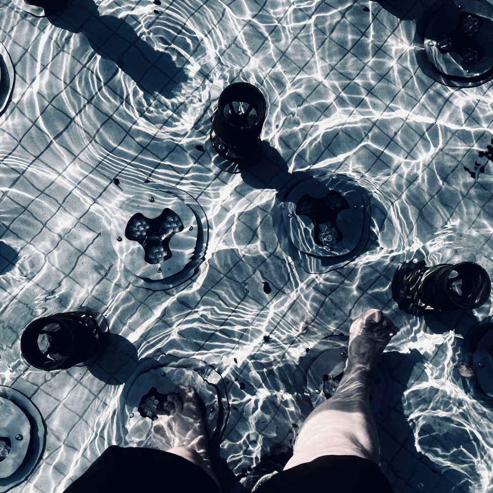 Am I able to taste the surface where my feet walk on?