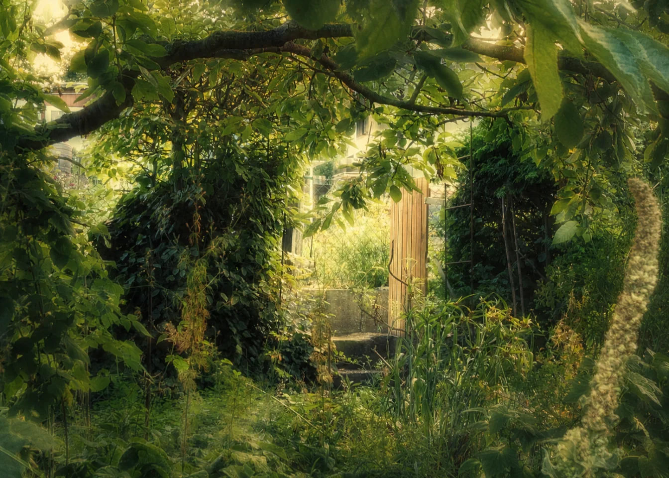 Surrounded by the sounds of nature I can embrace myself and allow my inner world to unfold.